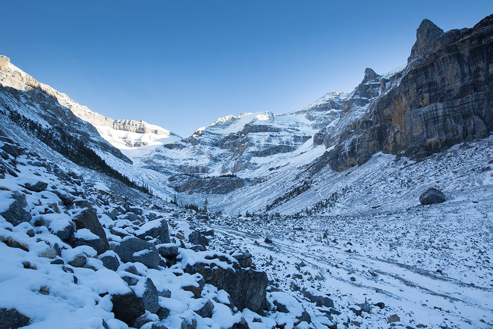 Mountain view and wildlife area