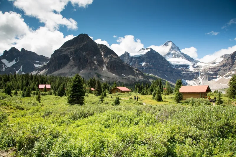 Guest cabins scattered in alpine meadow