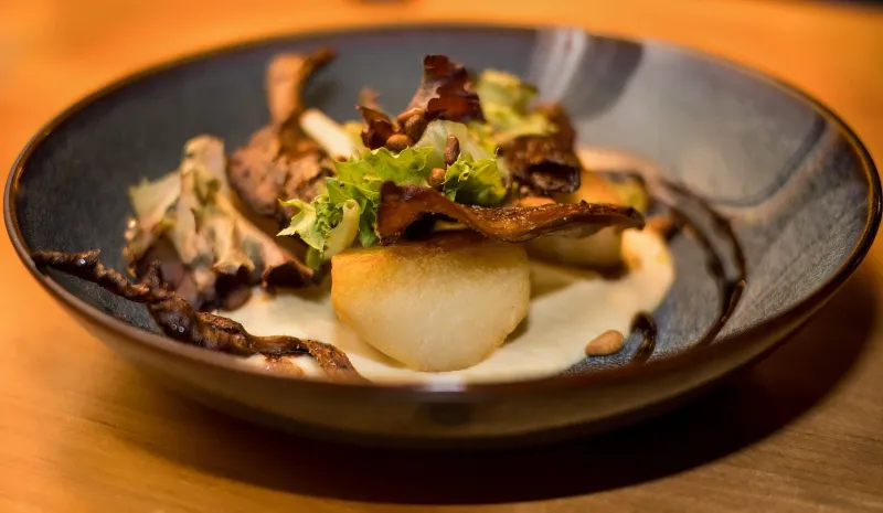 Plated salad at Mount Engadine Lodge featuring seared mushrooms, herb garnish, and cream sauce.