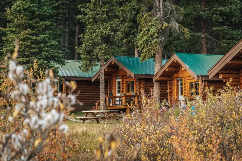 Shadow Lake Lodge log cabins with teal roofs nestled among tall evergreens and fall wildflowers.