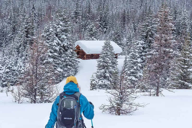 Cross-country skier approaching cabin through snowy forest